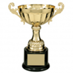 Completed Metal Cup Trophy