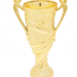 Plastic Texture Cup