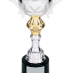 Completed Metal Cup Trophy on Plastic Base