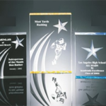3 Dimensional carved shooting star awards