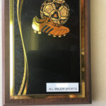 Special Soccer Plaque
