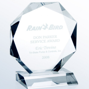Optic Crystal_Prestige Award